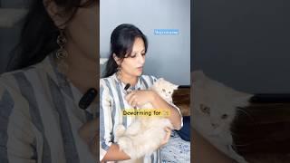 Don’t skip deworming cats cathealth catlover vizagcat catsofvizag mojocatgang telugucat yt [upl. by Yrahk]