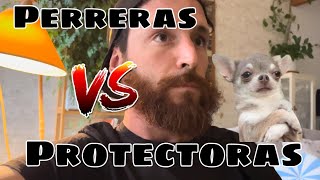 Perreras VS Protectoras perro [upl. by Adniles751]