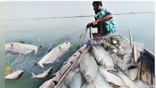 ইলিশ মাছ ধরার নতুন টেকনিক।। new technique of Hilsa fishing [upl. by Bodwell]