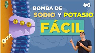 💣BOMBA DE SODIO Y POTASIO ✅Explicación FÁCIL Potencial de Acción [upl. by Vanda]