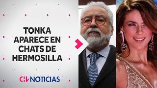 ESTE ES EL VÍNCULO de Tonka Tomicic con Luis Hermosilla y Caso Audios tras revelación de chats [upl. by Ailec395]