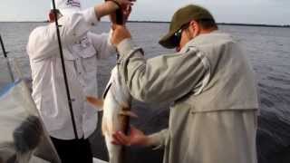 Sanibel Fishing Charters 2392463579 Anglers Choice Outfitters [upl. by Laehcar]