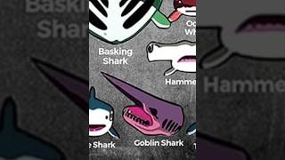 Goblin shark  Underrated sharks  Reborn  shark [upl. by Assiluy]