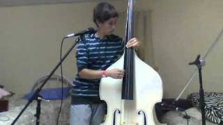 Blink 182  I Miss You Double Bass Cover [upl. by Aaren]