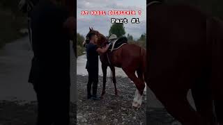 At nasıl eğerlenir 1v1 horse arabianhorse atvideo arabianhorserider [upl. by Otnas]