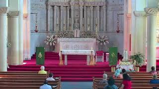 July 17 Adoration and Mass [upl. by Drazze]