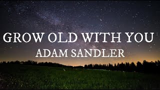 GROW OLD WITH YOU ADAM SANDLER LYRICS [upl. by Meeharb]