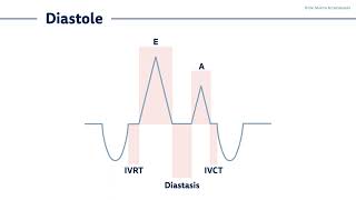 〖Echocardiography〗 Diastolic dysfunction II  time intervals amp ECG 🫀 [upl. by Pawsner]