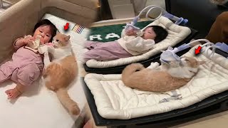 Parents were Puzzled When Their Baby Stopped Gaining Weight it Turned Out That the Cat was Drinking [upl. by Deborah934]