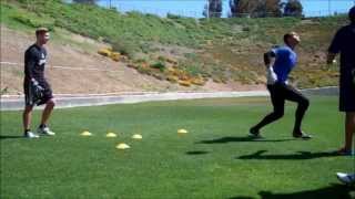 GOALKEEPER TRAINING HIGH BALL AND LOW DIVE [upl. by Ohce]