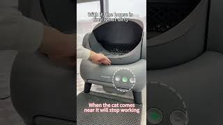 🐈‍⬛litter box CatProducts catcatlitterbox Petproducts couple neakasa Raisecats [upl. by Bronwyn]