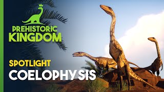 Prehistoric Kingdom  Coelophysis Spotlight [upl. by Kentiga]