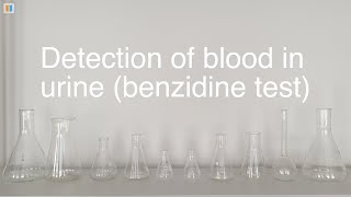 66 Detection of blood in urine benzidine test [upl. by Vena]