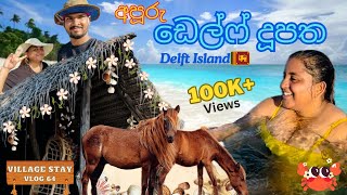 ඩෙල්ෆ් දූපත  Delft island 🏝️ අපි ගියපු හොදම Travel Destination එකක්  Delft Village Stay srilanka [upl. by Chaille]