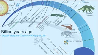 Oparin Haldane Theory Modern Theory of Origin of Life Part 1 [upl. by Neih222]