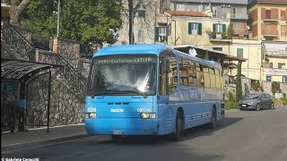 Bus Cotral n5250 Iveco EuroClass 380 ZF [upl. by Znieh]