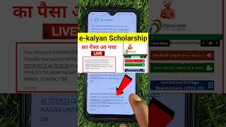 eKalyan Scholarship Ka Paisa Aagaya youtubeshorts shorts [upl. by Rabush631]