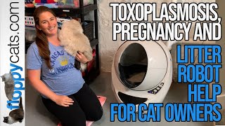 Toxoplasmosis Pregnancy and Litter Robot Help for Cat Owners [upl. by Adlez739]