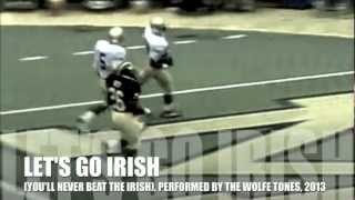 Lets Go Irish Youll Never Beat the Irish The Wolfe Tones [upl. by Elleynod]