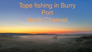 Tope fishing Burry Port North Channel [upl. by Perlis]