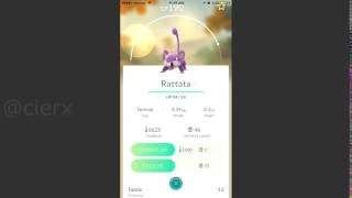 Rattata Vine  Just For Fun  Dank Meme [upl. by Enomaj]