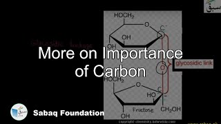 More on Importance of Carbon Biology Lecture  Sabaqpk [upl. by Rance]