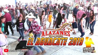 Que bonito le zapatean en El Aguacate Qro [upl. by Limemann]