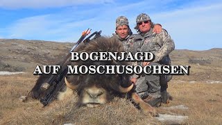 Bogenjagd auf Moschusochsen  Trailer [upl. by Eikin]