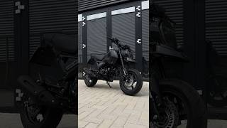 All Black Honda Grom grombikes gromgang motorcycle stayriding motorbike blackonblack moto [upl. by Oicnaneb440]