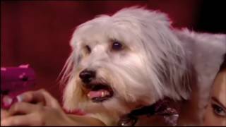 Ashleigh and Pudsey  RIP Pudsey [upl. by Auj140]