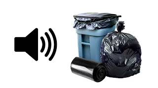 TRASH  Meme Sound Effect  ProSounds [upl. by Alletsyrc]