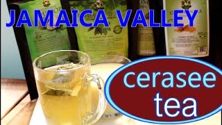 Jamaica Cerasee Tea Benefits Of Jamaican Cerasee Tea At Home  Recipes By Chef Ricardo [upl. by Ummersen]