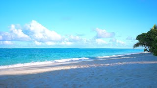 🏝 Scenic Beach View Island Relaxation From Maldives [upl. by Yelraf]