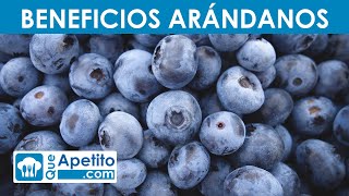 8 Propiedades y Beneficios de los Arándanos  QueApetito [upl. by Petersen]