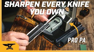 Sharpen Every Knife You Own on the Professional Precision Adjust Knife Sharpener [upl. by Uball909]