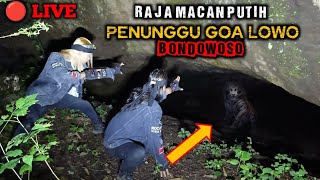 🔴LIVE  DI LUAR NALAR RAJA MACAN PUTIH BERTAPA DI GOA LOWO BONDOWOSO [upl. by Esteban470]