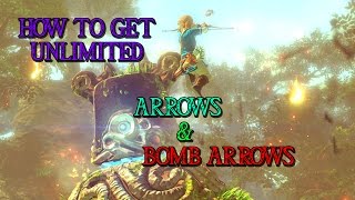 How To Get Unlimited Arrows And Bomb ArrowsZelda Breath Of The Wild [upl. by Hyman]