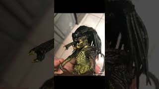 Custom predalien [upl. by Merl775]