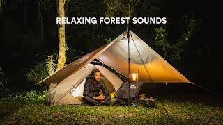 Solo Camping di Hutan Cuaca Berkabut Suara Alam yang Tenang untuk Tidur ASMR [upl. by Tamara]