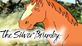 The Silver Brumby  Episodes 3135 2 HOUR COMPILATION HD  Full Episode [upl. by Esenaj893]