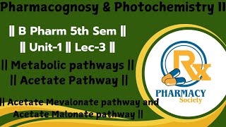 Metabolic pathways  Acetate pathway  Acetate Mevalonate pathway amp Acetate malonate pathway [upl. by Enitsud]