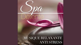 Musique pour lAnxiété le Stress et la Colère [upl. by Ahtnams]