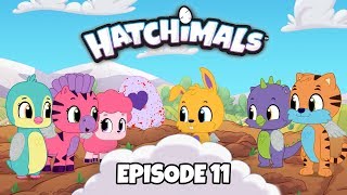 Hatchimals  Episode 1  Meet Team Hatch  TEAM HATCH YouTube Series [upl. by Radnaxela]