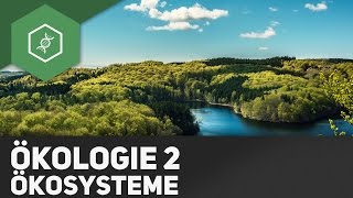 Ökosysteme  Ökologie 2 [upl. by Nahaj143]