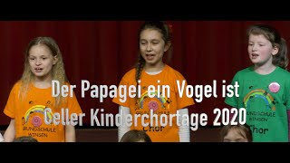 Der Papagei ein Vogel ist  Kinderchor und die Magical Kids [upl. by Wilhelmina488]