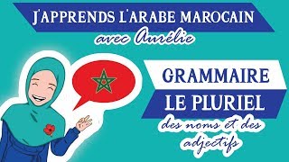 🇲🇦JAPPRENDS LE DARIJA MAROCAIN  Grammaire n°2  Le Pluriel des Noms et Adjectifs Maroc Émoi [upl. by Tripp]