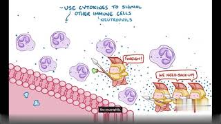 Ankylosing Spondylitis Causes Symptoms Diagnosis amp Treatment Pathology [upl. by Ralip]