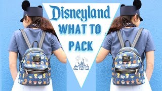 What to Pack for Disneyland  Disneyland 2018 [upl. by Kelcie579]