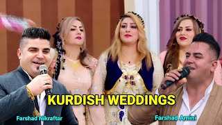 Best Kurdish wedding by Farshad amini ampfarshad nikraftar 2023  best kurdish dance Full Halparke [upl. by Raymund]