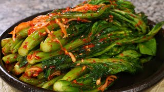 Kimchi made with mustard greens gatkimchi갓김치 [upl. by Nagorb499]